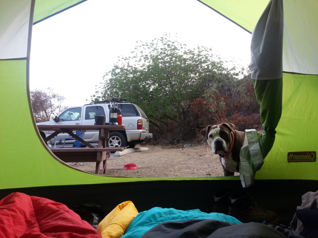 Agnes Loves Camping