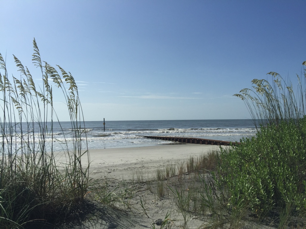 Hunting Island State Park 